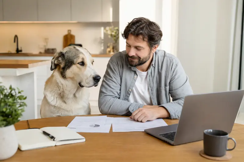 Ein Alabai Hund sitzt ruhig neben seinem Besitzer am Küchentisch, während Versicherungsunterlagen und ein Laptop mit Vergleichsseite darauf liegen.