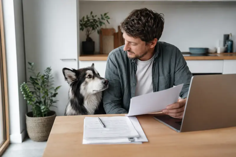 Ein Alaska Husky Hund sitzt ruhig neben seinem Besitzer am Küchentisch, wo Versicherungsunterlagen und ein Laptop liegen.