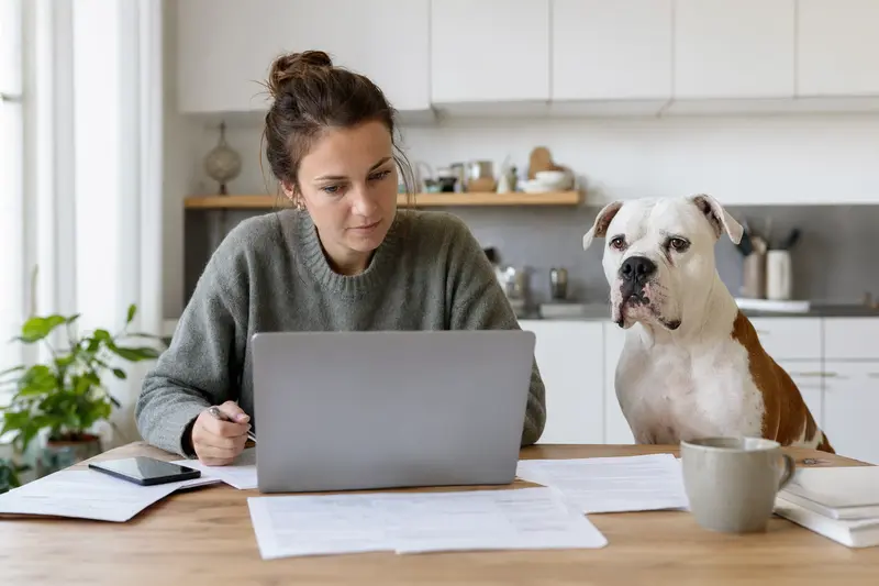 Eine ruhige Amerikanische Bulldogge sitzt neben seinem Besitzer am Küchentisch mit Versicherungsunterlagen.