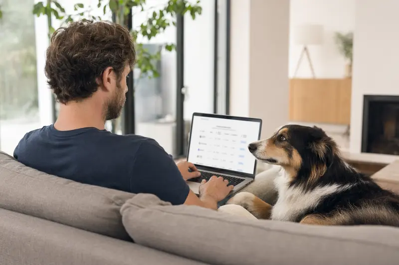 Ein Hundebesitzer sitzt mit einem Laptop auf dem Sofa, während ein Amerikanischer Collie daneben liegt und die entspannte Atmosphäre in einer hellen Wohnung genießt.