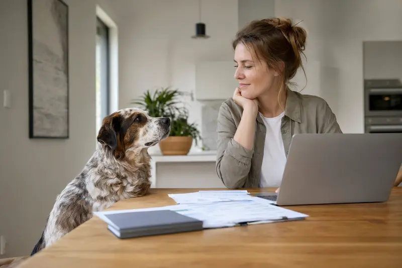 Ein Andalusischer Türke Hund sitzt ruhig neben seinem Besitzer am Küchentisch, auf dem Versicherungsunterlagen und ein Laptop liegen.