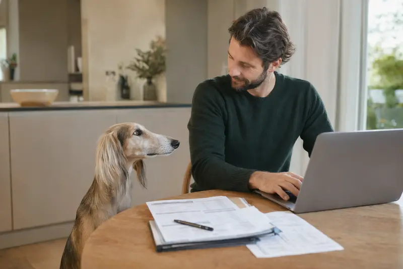Ein ruhiger Arabischer Windhund sitzt neben seinem Besitzer am Küchentisch, während Versicherungsunterlagen und ein Laptop vorhanden sind.