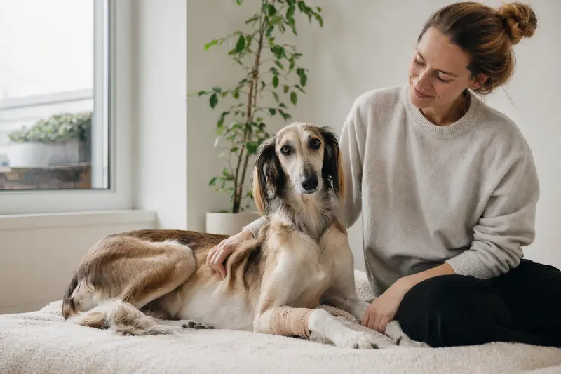Ein Arabischer Windhund mit einem leichten Verband an der Pfote liegt entspannt auf einer Decke, während sein erleichterter Besitzer neben ihm sitzt.