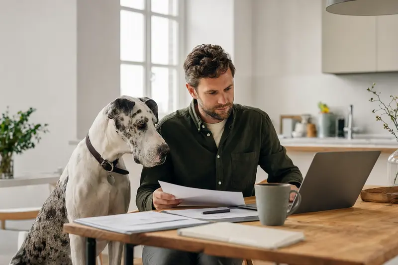 Eine Argentinische Dogge sitzt neben ihrem Besitzer am Küchentisch, auf dem Versicherungsunterlagen und ein Laptop liegen.