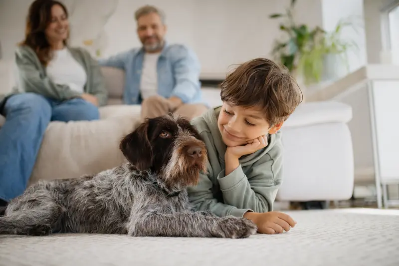 Ein Ariege-Vorstehhund entspannt neben einem Kind in einem hellen Wohnzimmer.