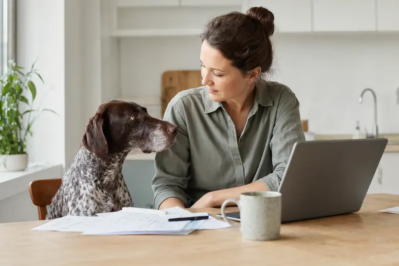 Ein Ariege-Vorstehhund sitzt ruhig neben seinem Besitzer am Küchentisch, auf dem Versicherungsunterlagen und ein Laptop liegen.