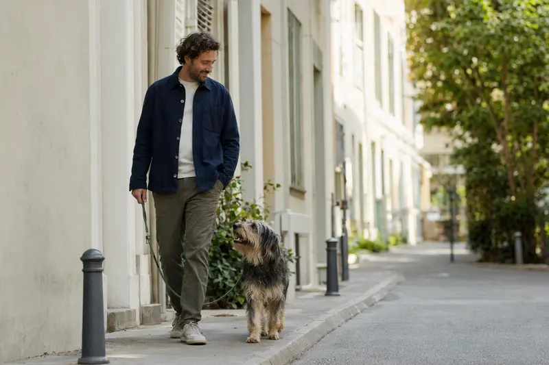Ein Ariégeois Hund läuft an der Leine mit seinem Besitzer durch eine moderne Stadtstraße, in einer entspannten Alltagssituation.