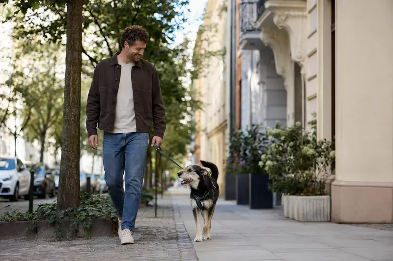 Ein Armant Hund läuft glücklich an der Leine mit seinem Besitzer durch eine moderne Stadtstraße und genießt das natürliche Licht.