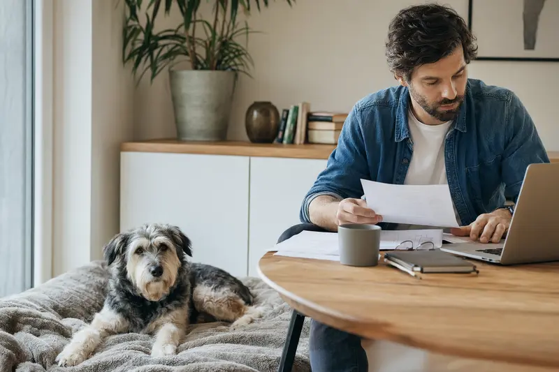 Ein entspannter Atlas Sheepdog liegt neben einer Tierarztrechnung auf einem Tisch in einer hellen Wohnung.