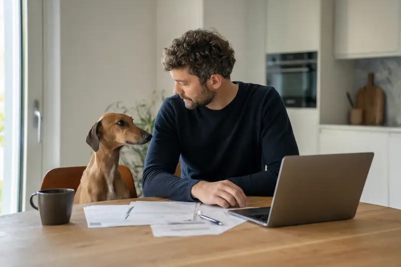 Ein Azawakh Hund sitzt ruhig neben seinem Besitzer am Küchentisch mit Versicherungsunterlagen.