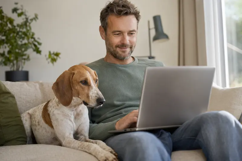 Hundehalter mit Laptop auf dem Sofa, neben ihm ein Balearen Laufhund, der Bildschirm zeigt eine unkenntliche Versicherungsvergleichsseite.