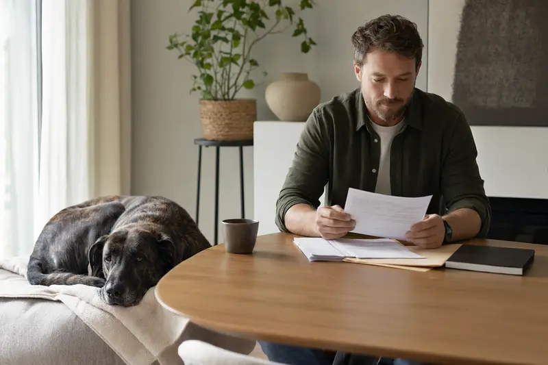Ein entspannter Bandog Hund liegt auf einer Decke neben einem Tisch mit Tierarztrechnungen in einer hellen Wohnung.