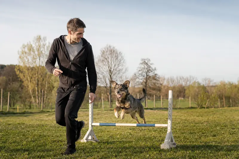 Ein Barak-Hund springt mit seinem Besitzer über eine kleine Trainingshürde auf dem Hundeplatz.