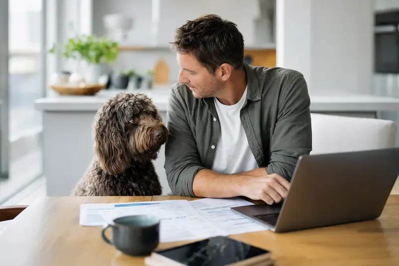 Ein Barbet Hund sitzt ruhig neben seinem Besitzer am Küchentisch mit Versicherungsunterlagen und Laptop.