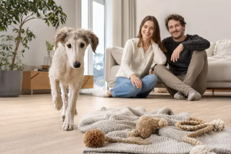 Ein neugieriger Barsoi Welpe erkundet das gemütliche Wohnzimmer mit Familie im Hintergrund.