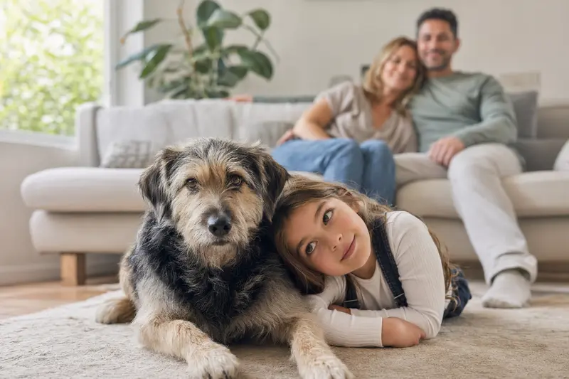 Ein entspannter Barzaia Hund liegt neben einem Kind im Wohnzimmer und vermittelt eine warme, familiäre Atmosphäre.