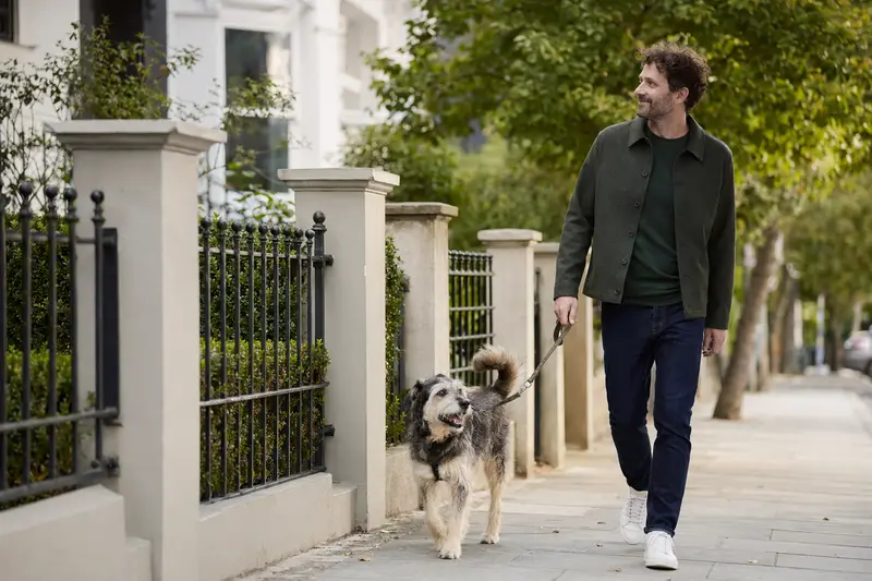 Ein Barzaia Hund läuft an der Leine mit seinem Besitzer entspannt durch eine moderne Stadtstraße.