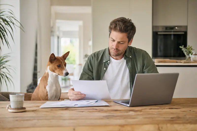 Ein Basenji Hund sitzt ruhig neben seinem Besitzer am Küchentisch, auf dem Versicherungsunterlagen und ein Laptop mit einer Vergleichsseite liegen.