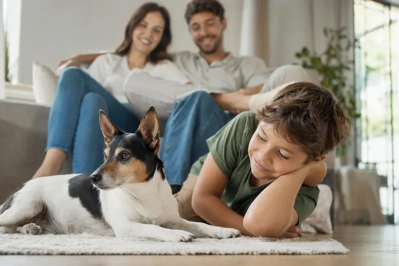 Ein freundlicher Baskischer Ratero Hund liegt entspannt neben einem Kind im Wohnzimmer und erzeugt eine herzliche Familienatmosphäre.