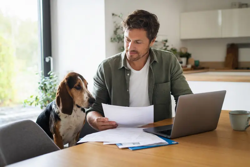 Ein Basset artésien normand Hund sitzt ruhend neben seinem Besitzer am Küchentisch, auf dem Versicherungsunterlagen und ein Laptop zu sehen sind.