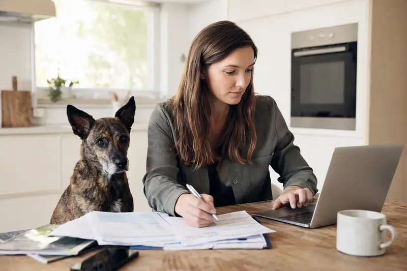 Ein Bawarski Sokol Hund sitzt ruhig am Küchentisch neben seinem Besitzer, während Versicherungsunterlagen und ein Laptop auf dem Tisch liegen.