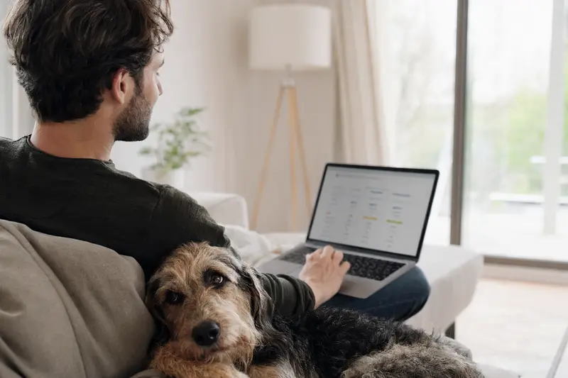Ein Hundebesitzer arbeitet am Laptop auf dem Sofa, während sein Bawarski Sokol Hund daneben sitzt.