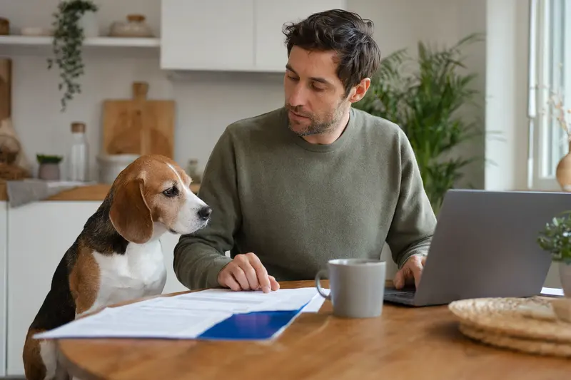 Ein Beagle sitzt entspannt neben seinem Besitzer am Küchentisch, wo Versicherungsunterlagen und ein Laptop liegen.