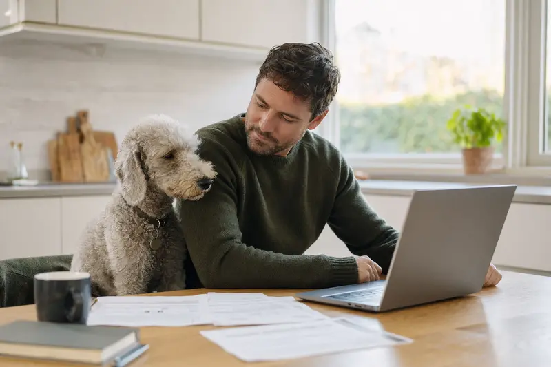 Ein Bedlington Terrier sitzt neben seinem Besitzer am Küchentisch mit Versicherungsunterlagen und einem Laptop.