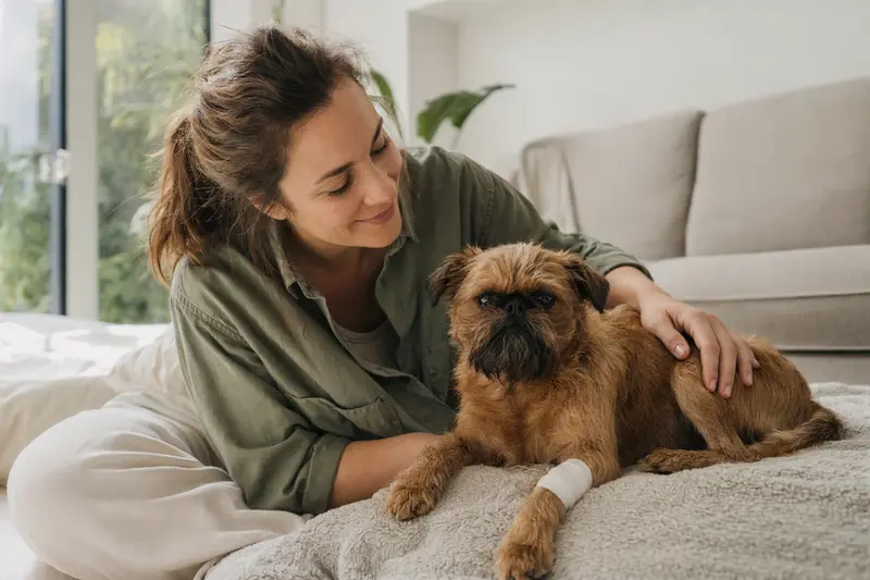 Ein Belgischer Griffon Hund mit Verband an der Pfote liegt entspannt auf einer Decke, während sein Besitzer neben ihm sitzt.