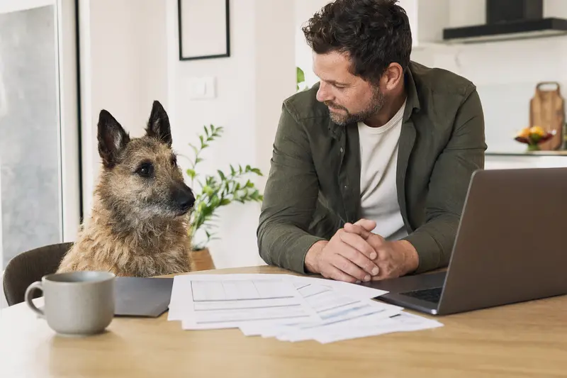 Ein Belgischer Schäferhund sitzt entspannt neben seinem Besitzer am Küchentisch mit Versicherungsunterlagen und Laptop.