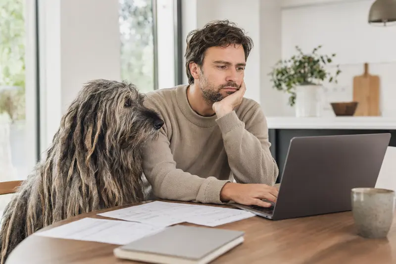 Ein Bergamasco Hund sitzt entspannt neben seinem Besitzer am Küchentisch, der mit Versicherungsunterlagen und einem Laptop ausgestattet ist.