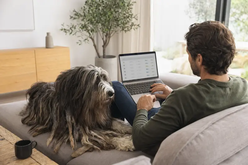 Ein Hundehalter arbeitet am Laptop auf dem Sofa, während ein Bergamasco Shepherd Dog neben ihm sitzt und eine Versicherungsvergleichs-Webseite im Hintergrund zu sehen ist.