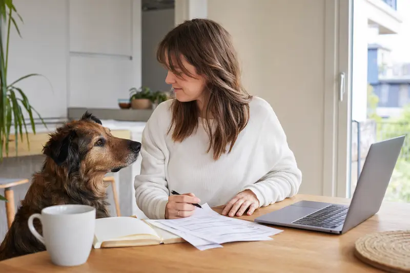 Ein Berger de Savoie Hund sitzt entspannt neben seinem Besitzer am Küchentisch, wo Versicherungsunterlagen und ein Laptop liegen.
