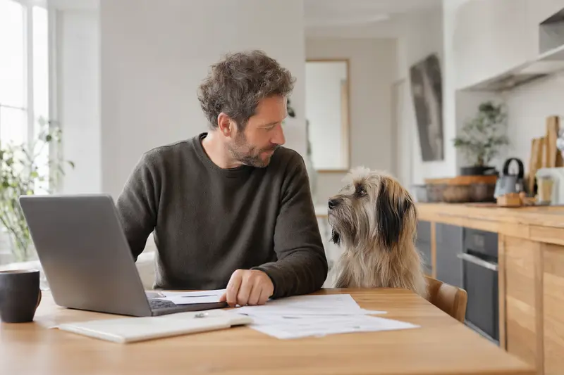 Ein Berger des Pyrénées à face rase Hund sitzt ruhig neben seinem Besitzer am Küchentisch, während sie Versicherungsunterlagen und einen Laptop mit Vergleichsinformationen betrachten.