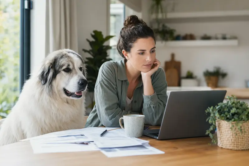 Ein Berger des Pyrenees sitzt ruhig neben seinem Besitzer am Küchentisch mit Versicherungsunterlagen und einem Laptop auf einer transparenten Vergleichsseite.