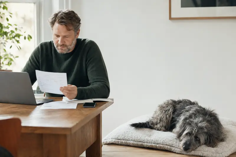 Ein Hundehalter sitzt mit einer Tierarztrechnung am Tisch, während ein entspannter Berger du Languedoc auf einer Decke in der hellen Wohnung liegt.