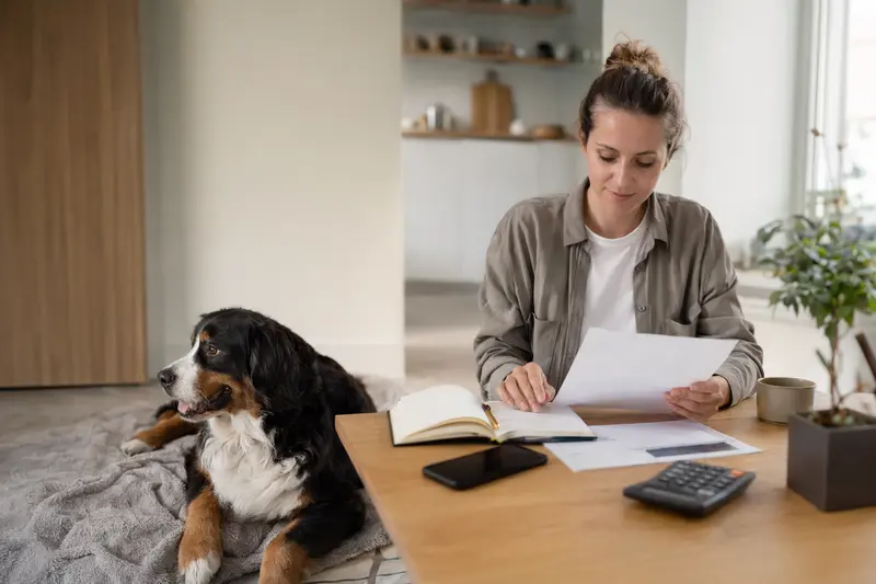 Besitzer sitzt mit einer Tierarztrechnung am Tisch, während ein entspannter Berner Sennenhund ruhig auf einer Decke liegt – passend zum Thema Hundekrankenversicherung und Tierarztkosten.