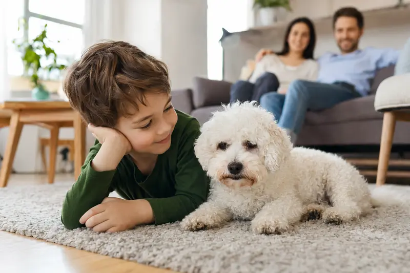 Ein freundlicher Bichon Frisé liegt entspannt neben einem Kind im Wohnzimmer, umgeben von einer warmen Familienatmosphäre.