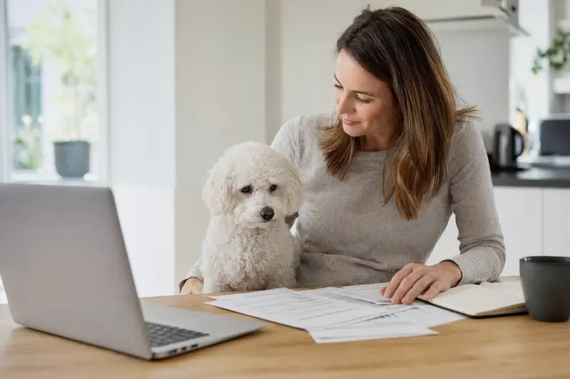 Ein Bichon Frisé sitzt ruhig am Küchentisch neben seinem Besitzer, während Versicherungsunterlagen und ein Laptop mit Vergleichsseite auf dem Tisch liegen.