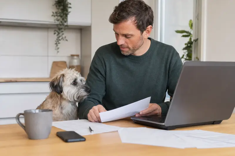 Ein Bingley Terrier sitzt entspannt neben seinem Besitzer am Küchentisch, auf dem Versicherungsunterlagen und ein Laptop liegen.