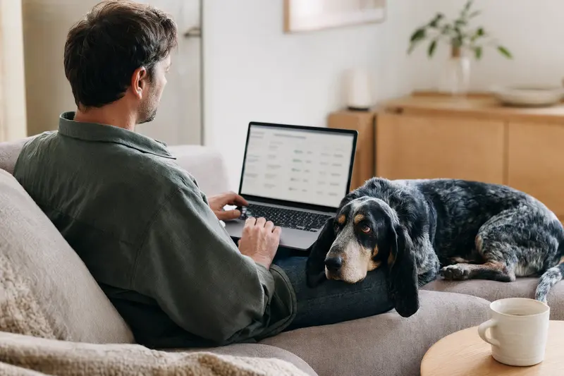 Ein Besitzer arbeitet am Laptop auf dem Sofa, während ein blauer Basset der Gascogne neben ihm sitzt, die Bildschirmansicht zeigt neutrale Versicherungsoptionen.