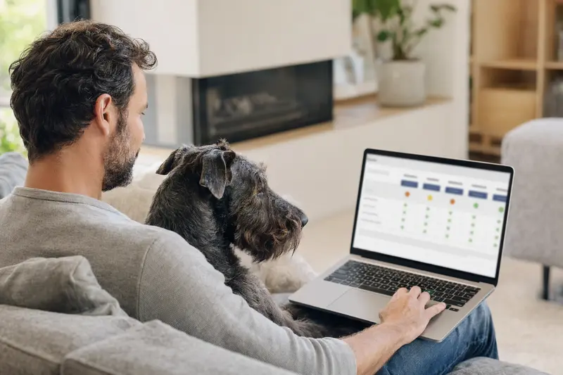 Ein Besitzer mit Laptop auf dem Sofa und einem blauen Irischen Terrier, der eine Versicherungsvergleichsseite betrachtet.