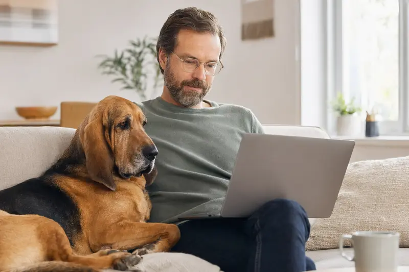 Ein Hundebesitzer arbeitet entspannt mit seinem Laptop auf dem Sofa, während ein Bloodhound Hund neben ihm liegt.