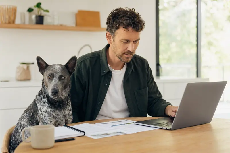 Ein Blue Lacy Hund sitzt neben seinem Besitzer am Küchentisch mit Versicherungsunterlagen und einem Laptop.