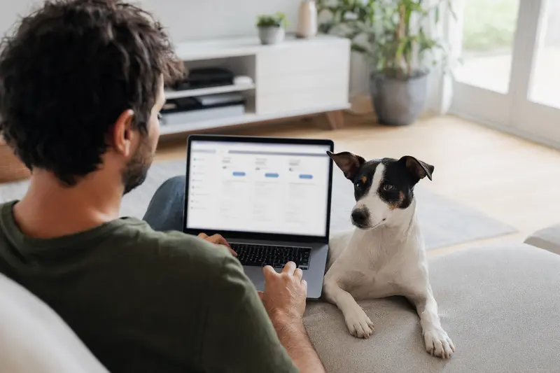 Ein Hundebesitzer sitzt mit Laptop auf dem Sofa und vergleicht Tierkrankenversicherungen neben seinem Bodeguero Andaluz.