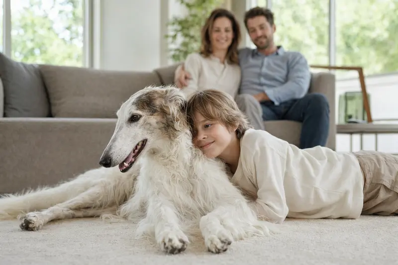 Ein entspannter Borzoi Hund liegt neben einem Kind im Wohnzimmer und strahlt familiäre Geborgenheit aus.