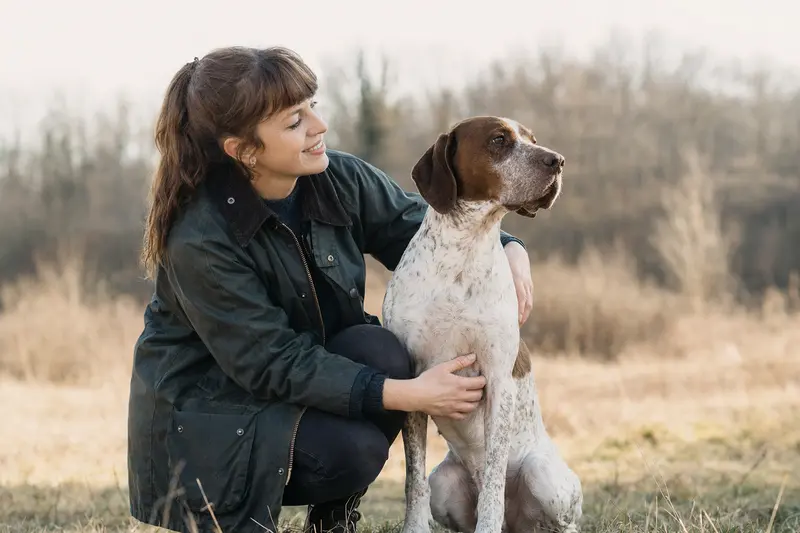 Ein aufmerksam stehender Bourbonnais-Vorstehhund vor hellem Hintergrund als realistisches Tierportrait.