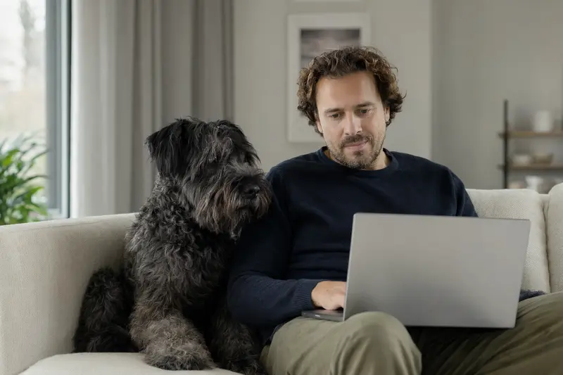 Ein Bouvier des Flandres Hund sitzt neben einem Besitzer, der am Laptop auf dem Sofa arbeitet, während eine neutrale Versicherungsvergleichs-Oberfläche auf dem Bildschirm zu sehen ist.