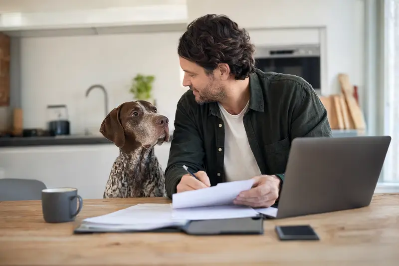 Ein Braque Charles Hund sitzt entspannt neben seinem Besitzer, während auf dem Küchentisch Versicherungsunterlagen und ein Laptop liegen.