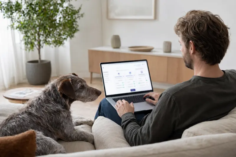 Ein Besitzer sitzend auf dem Sofa mit Laptop und einem Braque du Puy Hund, der eine Versicherungsvergleichs-Oberfläche betrachtet.